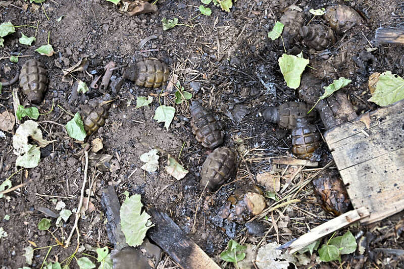 Власти Воронежской области приостановили проведение массовых мероприятий